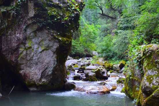 Chandigarh To Jabli Taxi Service